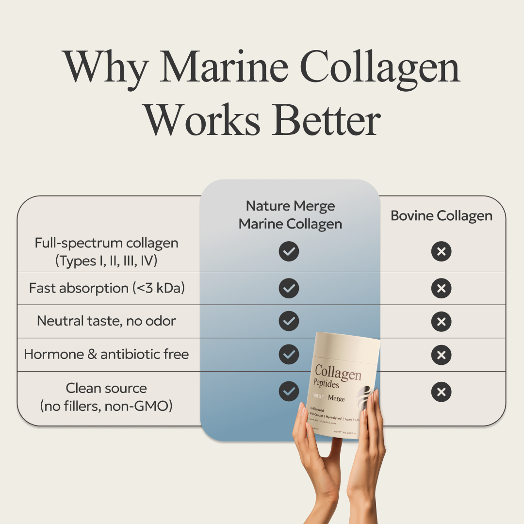 Comparison chart of Marine Collagen and Bovine Collagen with a hand holding Nature Merge Collagen Peptides packaging.