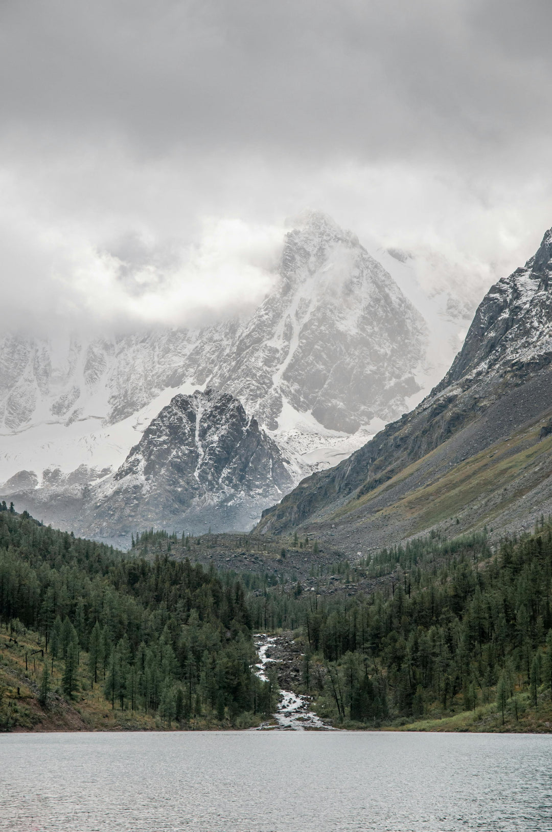 Nature Merge | Premium Supplements for Natural Wellness